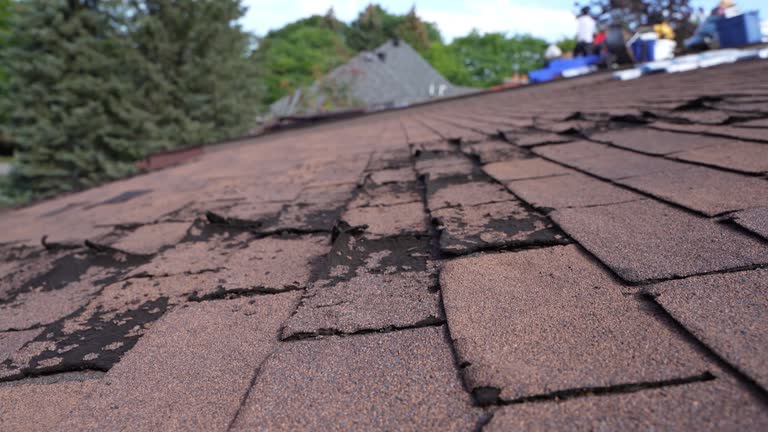 Best Roof Insulation Installation  in Superior, NE