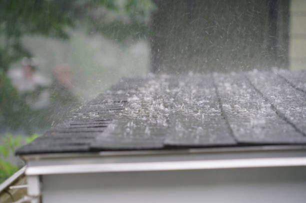 Best Storm Damage Roof Repair  in Superior, NE