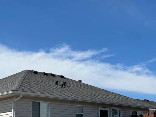 Best Roof Replacement  in Superior, NE